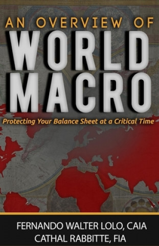 Kniha An Overview of World-Macro: Protecting Your Balance Sheet at a Critical Time Cathal Rabbitte