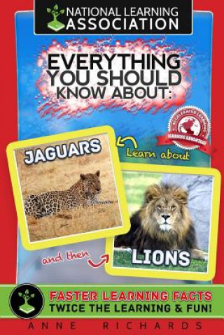 Kniha Everything You Should Know About: Jaguars and Lions Anne Richards