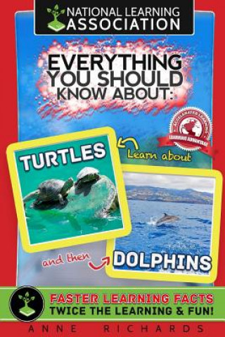 Kniha Everything You Should Know About: Turtles and Dolphins Anne Richards