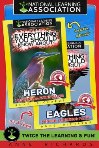 Carte Everything You Should Know About: Eagles and Herons Anne Richards