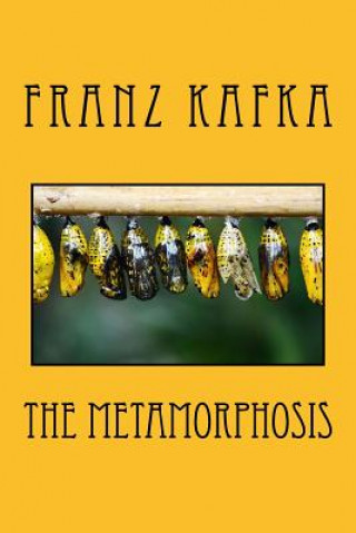 Libro The Metamorphosis Franz Kafka