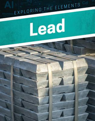 Libro Lead Donna B. McKinney