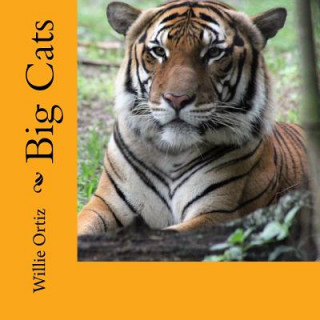 Knjiga Big Cats Willie Ortiz