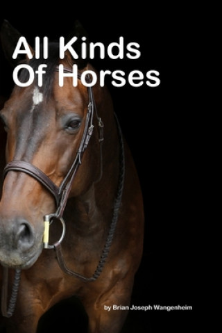 Carte All Kinds Of Horses: beautiful pictures of horses Brian Joseph Wangenheim