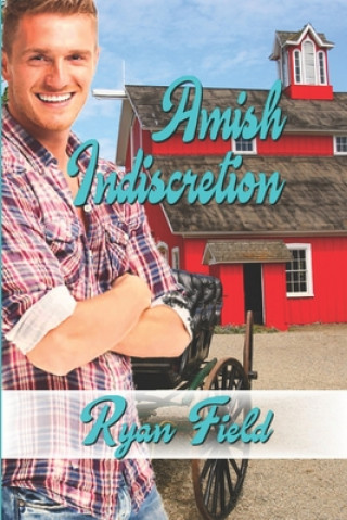 Knjiga Amish Indiscretion Ryan Field