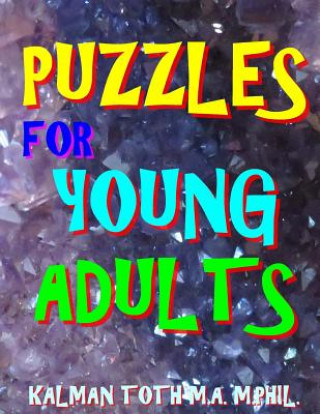 Book Puzzles for Young Adults: 133 Large Print Entertaining Word Search Puzzles Kalman Toth M. a. M. Phil