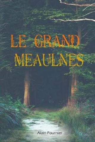 Könyv Le grand Meaulnes Alain Fournier