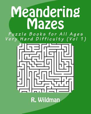 Kniha Meandering Mazes: Puzzle Books for All Ages - Very Hard Difficulty R. Wildman
