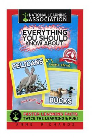 Книга Everything You Should Know About: Pelicans and Ducks Anne Richards