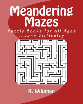 Książka Meandering Mazes: Puzzle Books for All Ages - Insane Difficulty R. Wildman