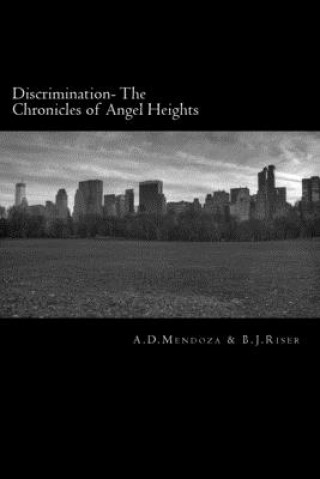 Kniha Discrimination: The Chronicles of Angel Heights B. J. Rizer