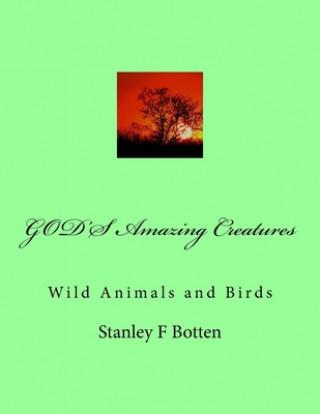 Kniha GOD'S Amazing Creatures: Wild Animals and Birds Stanley Felix Botten