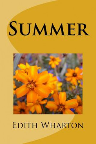 Knjiga Summer Edith Wharton