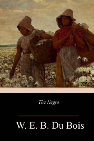 Knjiga The Negro W. E. B. Du Bois