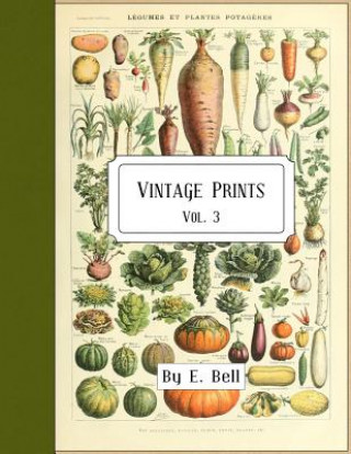 Könyv Vintage Prints: Vol. 3 E. Bell