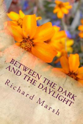 Carte Between the Dark and the Daylight Richard Marsh