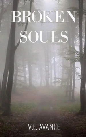 Book Broken Souls Abbie Lee