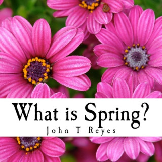 Knjiga What is Spring? John T. Reyes