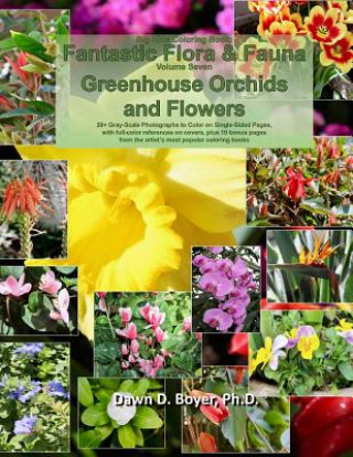Carte Big Kids Coloring Book: Fantastic Flora and Fauna: Volume Seven - Greenhouse Orchids and Flowers Dawn D. Boyer Ph. D.