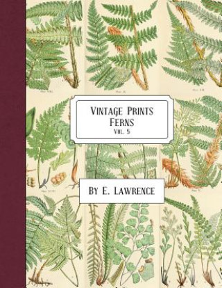 Carte Vintage Prints: Ferns: Vol. 5 E. Lawrence