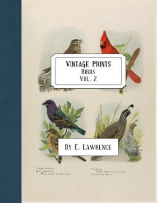 Kniha Vintage Prints: Birds: Vol. 2 E. Lawrence