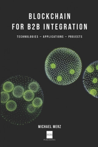Boek Blockchain for B2B Integration: Technologies, Applications and Projects Michael Merz