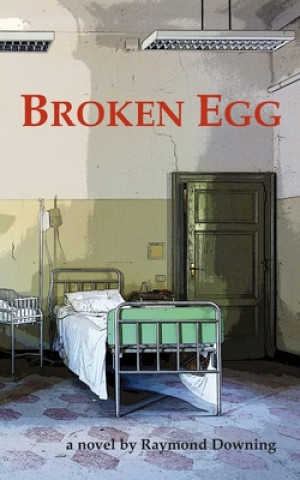 Knjiga Broken Egg Raymond Downing