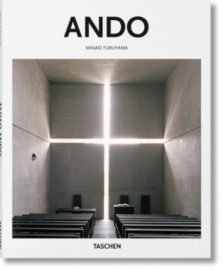 Kniha Ando Masao Furuyama