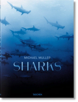 Kniha Michael Muller. Requins Philippe Cousteau
