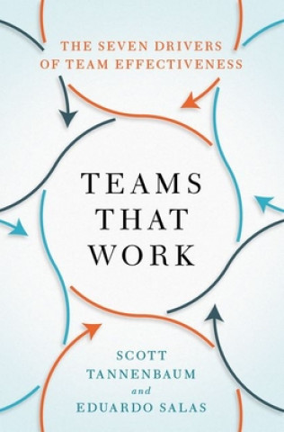 Kniha Teams That Work Tannenbaum