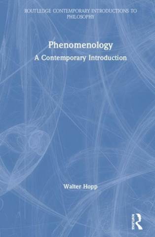 Buch Phenomenology Walter Hopp