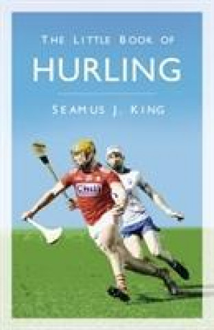 Kniha Little Book of Hurling Seamus King