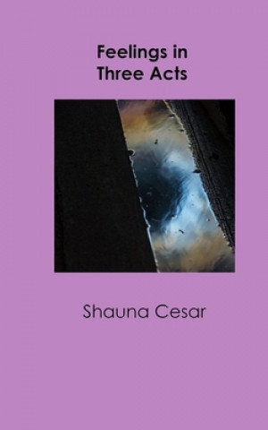 Knjiga Feelings in Three Acts Shauna Cesar
