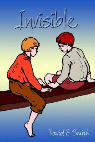 Knjiga Invisible David E. Smith