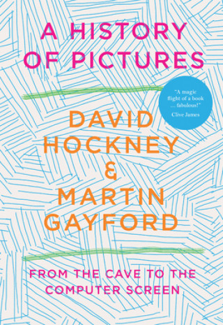 Kniha History of Pictures Martin Gayford