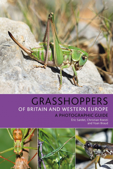 Книга Grasshoppers of Britain and Western Europe Christian Roesti