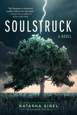 Livro Soulstruck Sinel