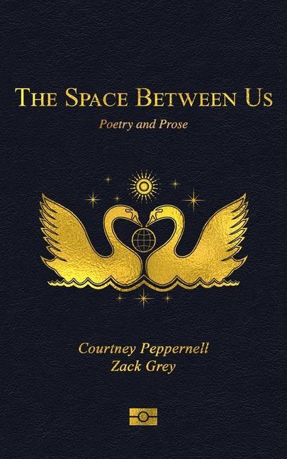 Książka Space Between Us Zack Grey