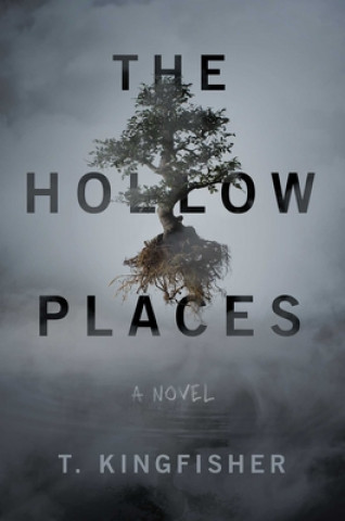 Книга Hollow Places 