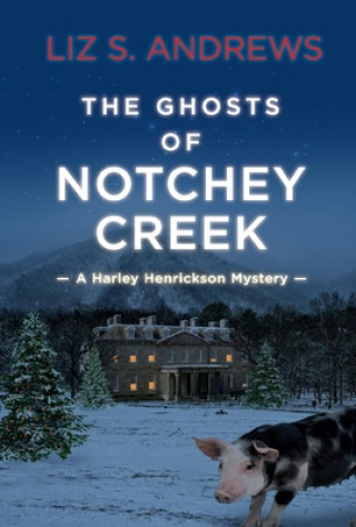 Knjiga Ghosts of Notchey Creek Liz S. Andrews