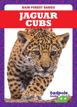 Buch Jaguar Cubs 