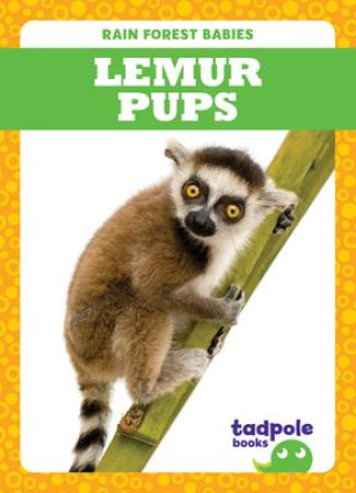 Kniha Lemur Pups 