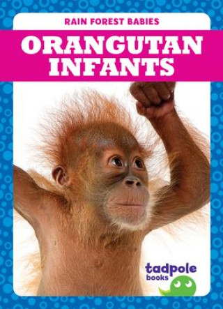 Carte Orangutan Infants Genevieve Nilsen