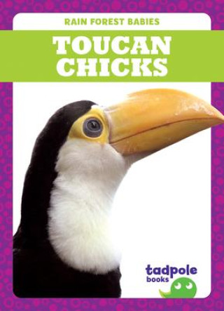 Knjiga Toucan Chicks Genevieve Nilsen