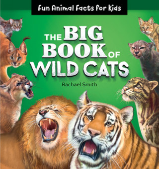 Kniha The Big Book of Wild Cats: Fun Animal Facts for Kids 