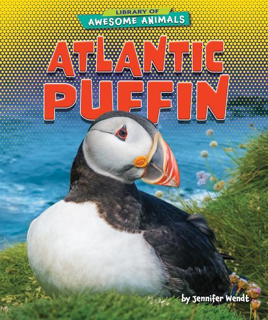 Knjiga Atlantic Puffin Jennifer Wendt