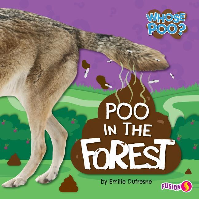 Kniha Poo in the Forest Emilie DuFresne