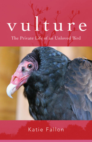 Книга Vulture - The Private Life of an Unloved Bird 