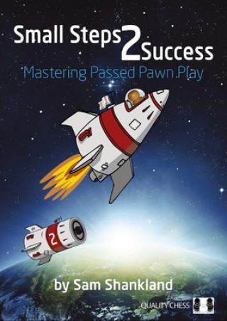 Kniha Small Steps 2 Success 