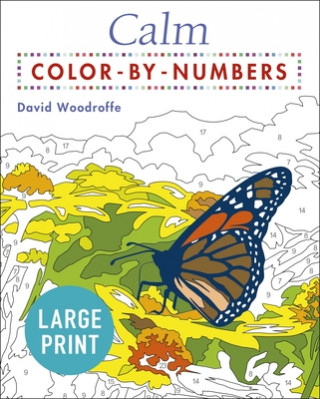 Kniha Large Print Calm Color by Numbers: Easy to Read 